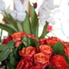 Rosa C.